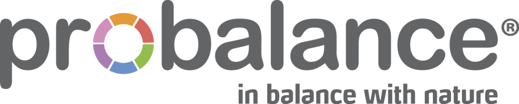 PB logo серый.png